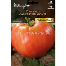 Семена домат OXHEART Sel. BELMONTE PRO