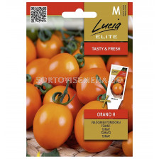 СЕМЕНА ДОМАТИ ОРАНО Х TOMATO ORANO H - СК 