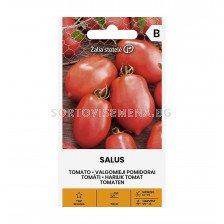 СЕМЕНА ДОМАТИ САЛУС TOMATO SALUS - СК 