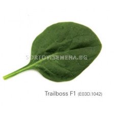 Семена спанак Трейлбос/ Trailbos F1 - 500 000 семена
