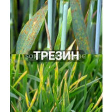 Трезин - 5 л