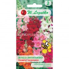 Антиринум (кученца) Serenade - ниски, микс - Antirrhinum - 0.10g -Legutko