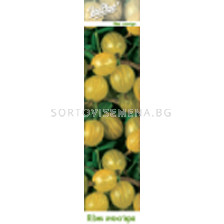 Цариградско грозде бяло (Ribes uva-crispa) - Gooseberry white