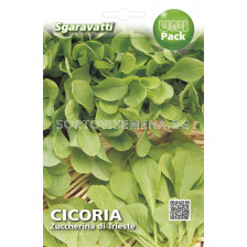 Семена Цикория (Chicory) Zuccherina di Trieste`SG
