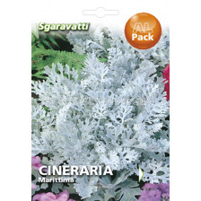 Семена Цинерария Маритима`SG - Cineraria Maritima`SG 