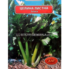 СЕМЕНА ЦЕЛИНА ЛИСТНА (1 БР.) - 10 БРОЯ