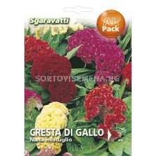 Семена Целозия - петльов гребен `SG - Celosia `SG 
