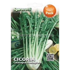 Семена Цикория (Chicory) Catalogna`SG