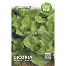 Семена Цикория (Chicory) Grumolo Bionda`SG