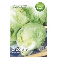 Семена цикория Mantovana`SG - chicory Mantovana`SG