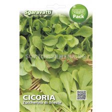 Семена Цикория (Chicory) Zuccherina di Trieste`SG