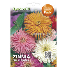 Семена Циния игличеста`SG - Zinnia cactus`SG