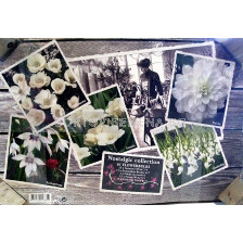 Цветен микс от пролетни цветя (61 луковици)