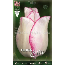 Лале Shirley (1 оп - 10 луковици)