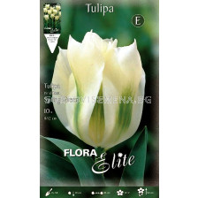 Лале Viridiflora Spring Green