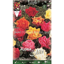 Лалета Double Mixed   (10 луковици)