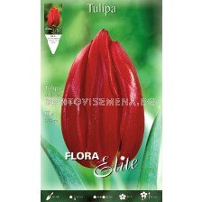 Лале (Tulip) Ruby Prince