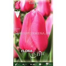 Лале (Tulip) Superlife
