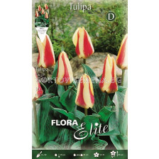Лале (Tulip) Tarafa