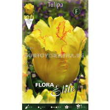 Лале (Tulip) Texas Gold