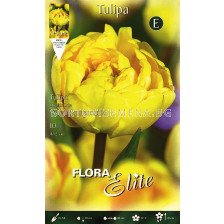 Лале Double Yellow Pomponette