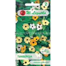 СЕМЕНА ТУНБЕРГИЯ Thunbergia alata mixture - ЛГ   