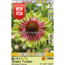 Ехинацея Green Twister/ Echinacea Purpurea - 1 брой