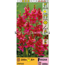 Иксия Venus  - 1 брой