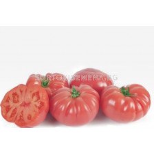 НОВО! Семена домати Вермиленза F1 - Розов - Vermilenza F1 - 500 бр. семена