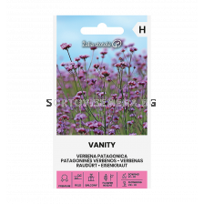 СК СЕМЕНА ВЕРБЕНА ПАТАГОНСКА VERBENA PATAGONICA VANITY  
