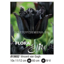 Лале/ Tulipa fringed Vincent van Gogh - Пакет: 1 оп. - 10 бр.
