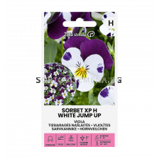 СК СЕМЕНА ТЕМЕНУЖКА ДРЕБНА  ДЖЪМПЪП VIOLA SORBET XP H WHITE JUMP UP 