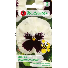 СЕМЕНА ТЕМЕНУЖКА СРЕБЪРНО-БЯЛА Viola x wittrockiana Silberbraut whitewith blotch - ЛГ