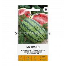 Диня MORGAN H - 'SK - 5 семена