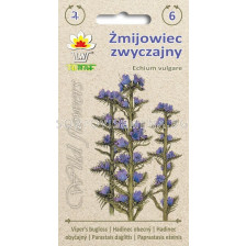 ТОРАФ ЕХИУМ WILDFLOWER Zmijowiec zwyczajny |Echium vulgare - TF-1 г