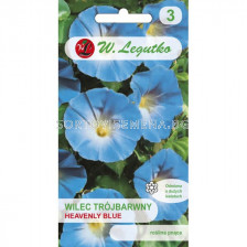 ЛГ ИМПОМЕЯ РАЙСКО СИНЯ Ipomoea tricolor Heavenly Blue blue