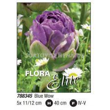 Лале/ Tulipa double late Blue Wow- Пакет: 1 оп. - 5 бр.