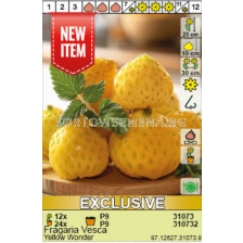 Ягоди Yellow Wonder/ Fragaria Vesca  - 1 брой