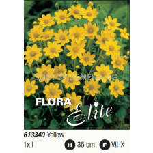 Далия топ микс жълта/ Dahlia topmix yellow - 1 брой