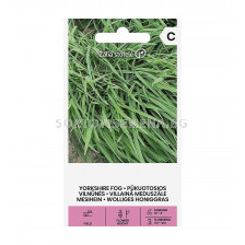 СЕМЕНА ХОЛКУС ЛАНАТУС  ЙОРКШИРСКА МЪГЛА -  СК