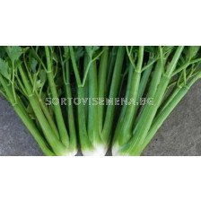 Семена Целина дръжкова YUTA - ESASEM - 1 000 сем (пелетирани)