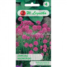 ЛГ АРМЕРИА РОЗОВА Armeria maritima pink