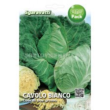 Семена зеле Сърцевидно`SG - cabbage Cuor di bue`SG 