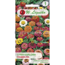 СЕМЕНА ЦИНИЯ ТУМБЕЛИНА МИКС Zinnia elegans dwarf Thumbelina mixture -  ЛГ