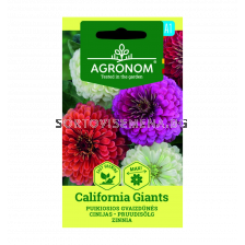ЦИНИЯ КАЛИФ. ГИГАНТ ZINNIA, CALIFORN.GIANTS  СК 