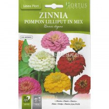 Циния помпон микс -BTS- BL