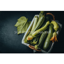 Семена тиквички Лирина F1 - 500 семена