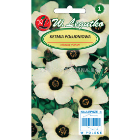 Семена Китайска роза кремава / Hibiscus trionum creamy-yellow /LG 1 оп 