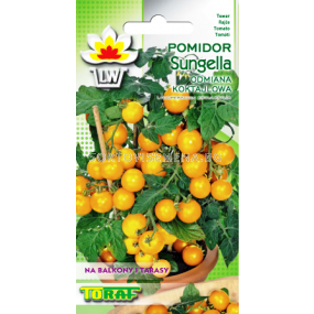 Семена домати жълто чери Сънгела - 0.5 г - tomato yellow cherry Sungella - 0.5 g