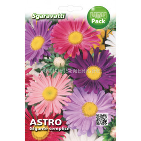 Семена Астра Гигант микс`SG - Aster Giant mix`SG